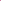WHOLESALE BULK | Freeze Dried Dragon Fruit Powder Matcha Outlet