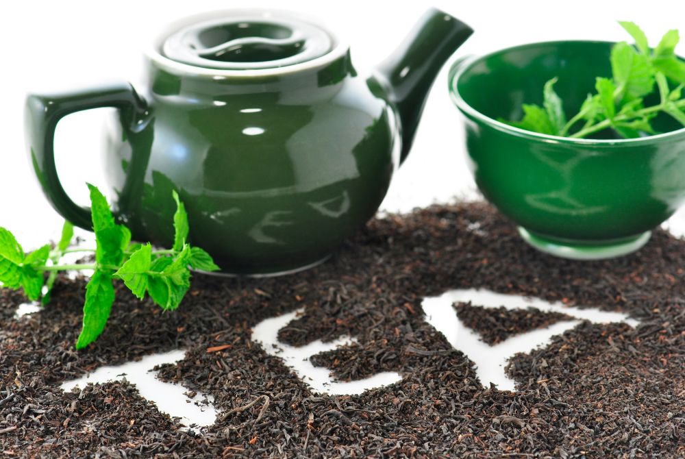 Matcha vs. Regular Green tea: the ultimate comparison
