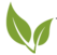 Matcha Outlet logo