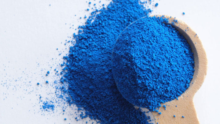 WHOLESALE BULK | Pure Blue Spirulina Powder Matcha Outlet 
